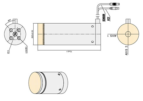 The drawing of fast steering mirror