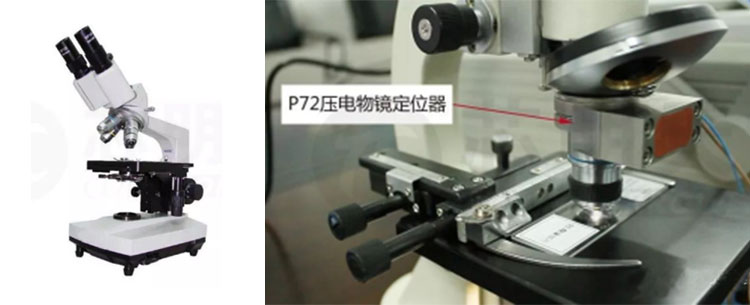 压电物镜定位器用于大幅提高普通显微镜的聚焦精度